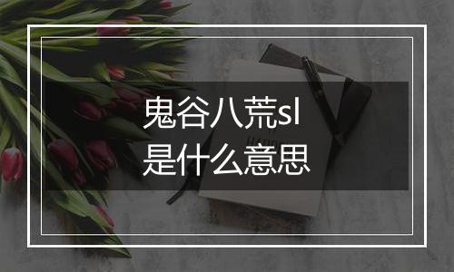 鬼谷八荒sl是什么意思