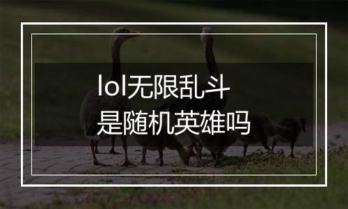 lol无限乱斗是随机英雄吗