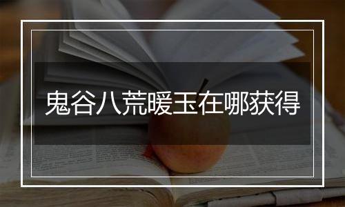 鬼谷八荒暖玉在哪获得