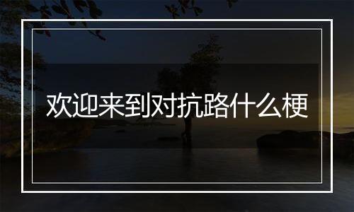 欢迎来到对抗路什么梗