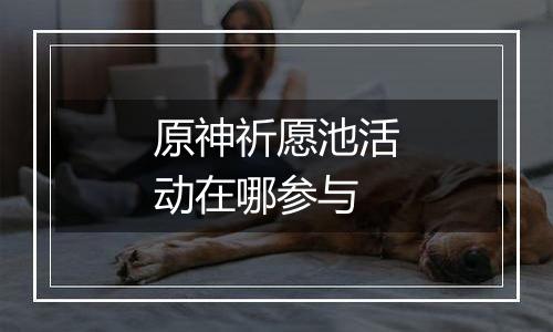 原神祈愿池活动在哪参与