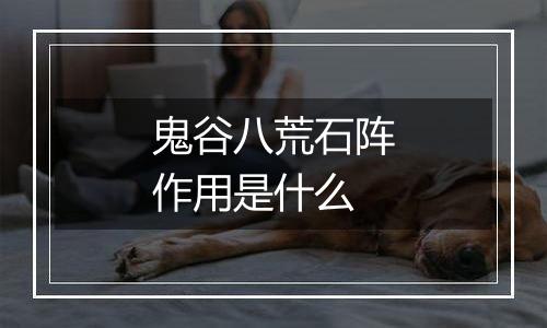 鬼谷八荒石阵作用是什么