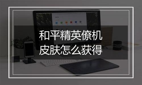 和平精英僚机皮肤怎么获得