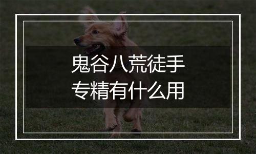 鬼谷八荒徒手专精有什么用