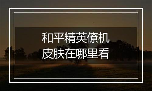 和平精英僚机皮肤在哪里看