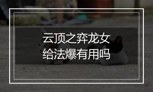云顶之弈龙女给法爆有用吗