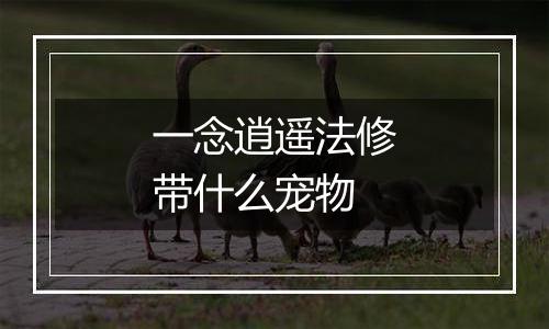 一念逍遥法修带什么宠物