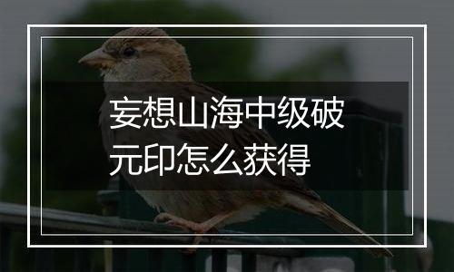 妄想山海中级破元印怎么获得