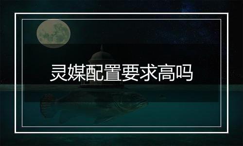 灵媒配置要求高吗