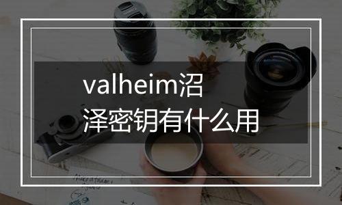 valheim沼泽密钥有什么用