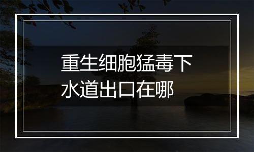 重生细胞猛毒下水道出口在哪