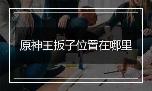 原神王扳子位置在哪里