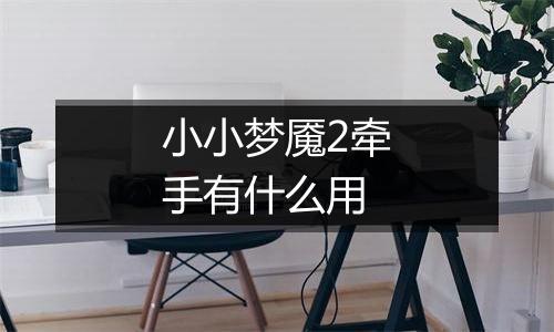 小小梦魇2牵手有什么用