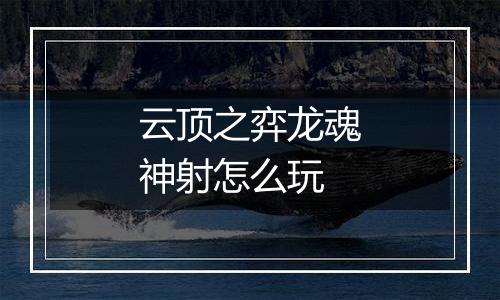 云顶之弈龙魂神射怎么玩