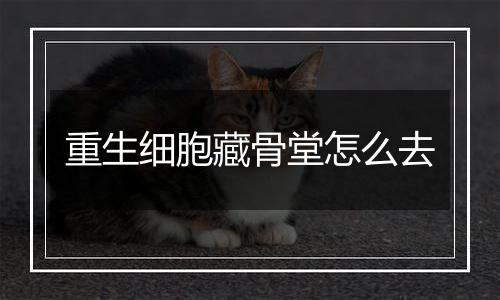 重生细胞藏骨堂怎么去