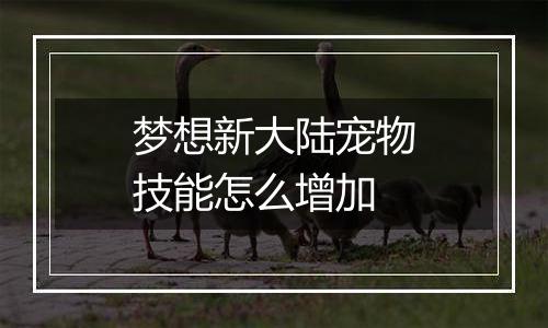 梦想新大陆宠物技能怎么增加