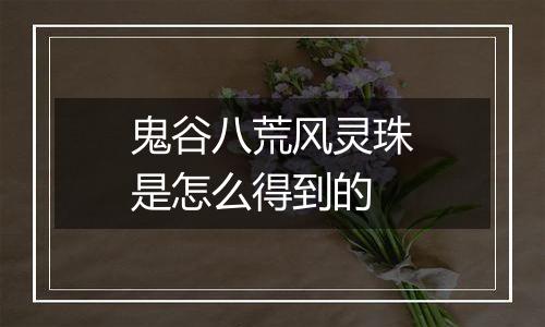 鬼谷八荒风灵珠是怎么得到的
