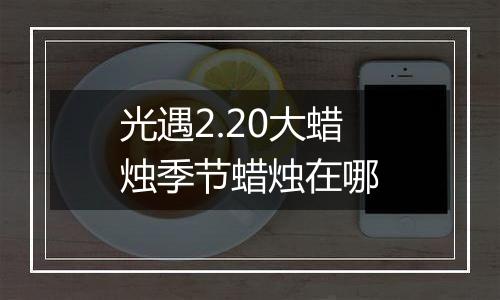 光遇2.20大蜡烛季节蜡烛在哪