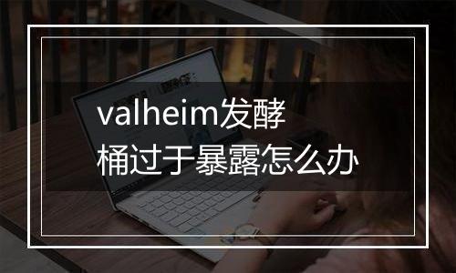 valheim发酵桶过于暴露怎么办