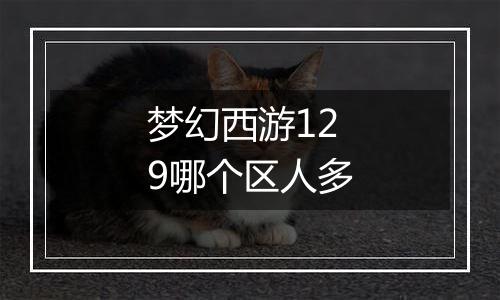 梦幻西游129哪个区人多