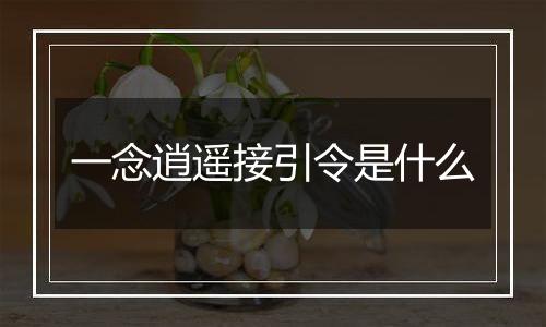 一念逍遥接引令是什么