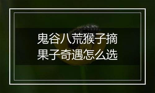 鬼谷八荒猴子摘果子奇遇怎么选