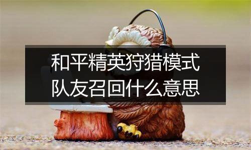 和平精英狩猎模式队友召回什么意思