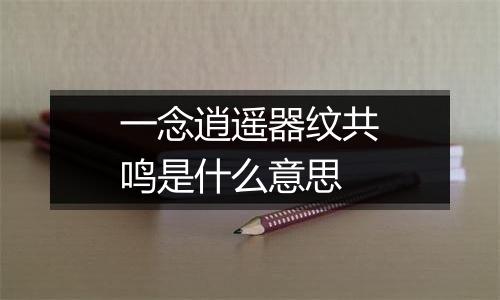 一念逍遥器纹共鸣是什么意思