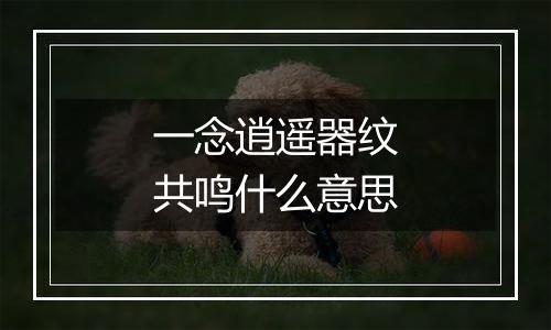 一念逍遥器纹共鸣什么意思