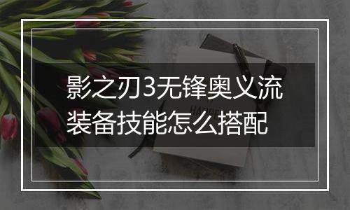 影之刃3无锋奥义流装备技能怎么搭配