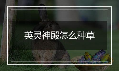 英灵神殿怎么种草