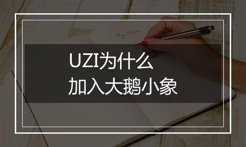 UZI为什么加入大鹅小象