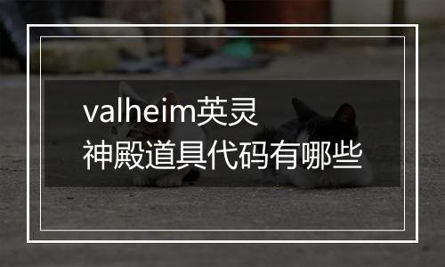 valheim英灵神殿道具代码有哪些