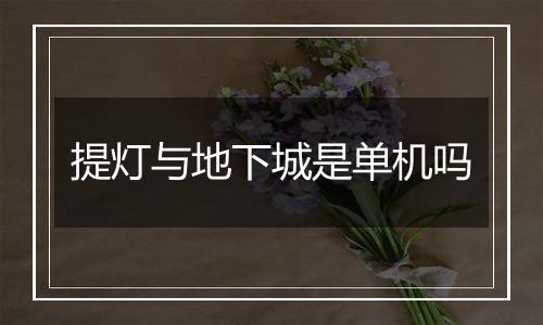 提灯与地下城是单机吗