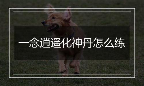 一念逍遥化神丹怎么练