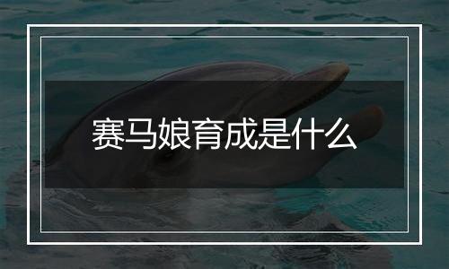 赛马娘育成是什么