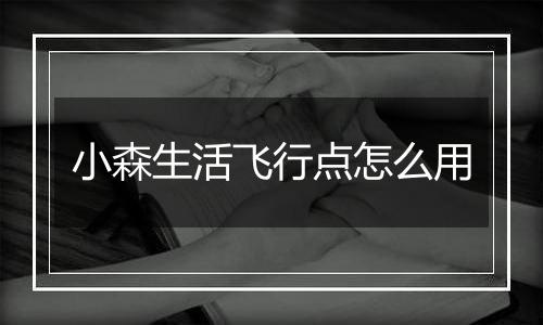 小森生活飞行点怎么用