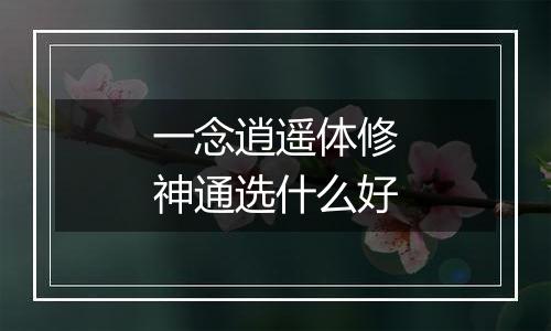 一念逍遥体修神通选什么好