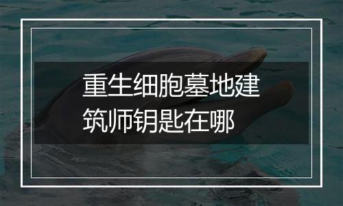 重生细胞墓地建筑师钥匙在哪