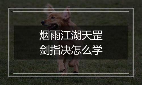 烟雨江湖天罡剑指决怎么学