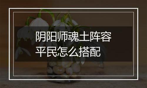 阴阳师魂土阵容平民怎么搭配