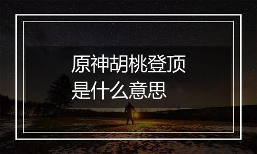 原神胡桃登顶是什么意思