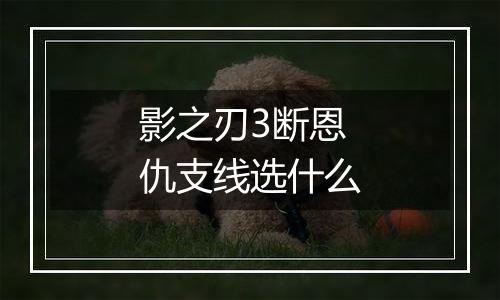 影之刃3断恩仇支线选什么
