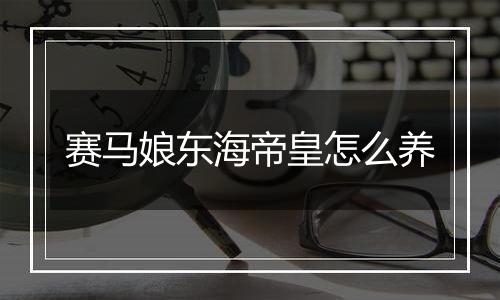 赛马娘东海帝皇怎么养