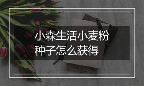 小森生活小麦粉种子怎么获得