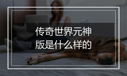 传奇世界元神版是什么样的