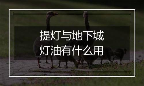 提灯与地下城灯油有什么用