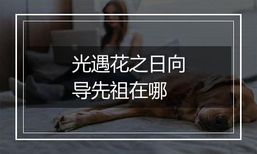 光遇花之日向导先祖在哪