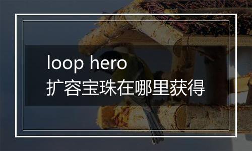 loop hero扩容宝珠在哪里获得
