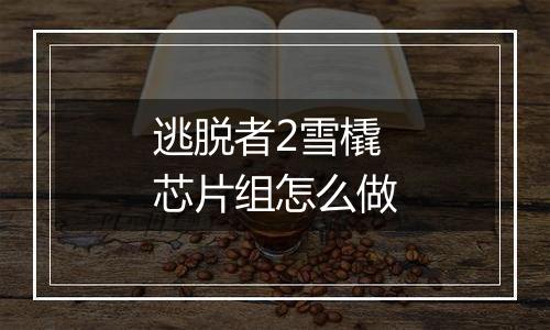 逃脱者2雪橇芯片组怎么做